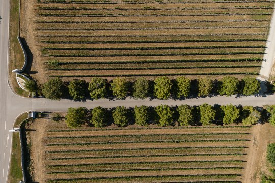 Vogelperspektive Thomas Reinisch im Johanneshof, © Unleashed.at Vogelperspektive Thomas Reinisch im Johanneshof, © Unleashed.at
