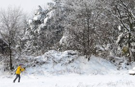Langlaufen im Wienerwald, © Martina Konrad Murphy Langlaufen im Wienerwald, © Martina Konrad Murphy