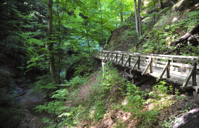 Hagenbachklamm im Eichenhain, © Naturparke Niederösterreich/Robert Herbst Hagenbachklamm im Eichenhain, © Naturparke Niederösterreich/Robert Herbst