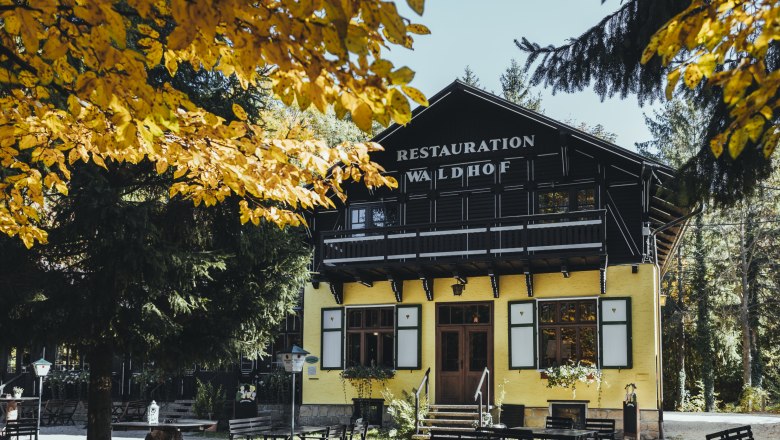 With a large guest garden in the middle of the forest, © Niederösterreich Werbung/David Schreiber A yellow building with the sign 'Restauration Waldhof' surrounded by trees and a large garden with tables and benches.