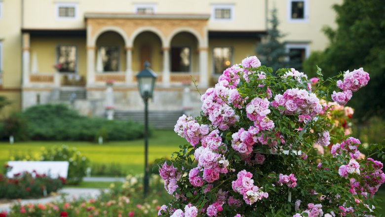 Baden/Geburtsort von Max Reinhardt, © Lammerhuber Baden/Geburtsort von Max Reinhardt, © Lammerhuber