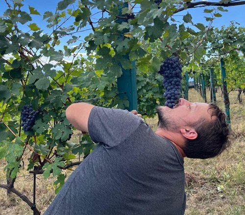 Gregor Schup Gregor Schup