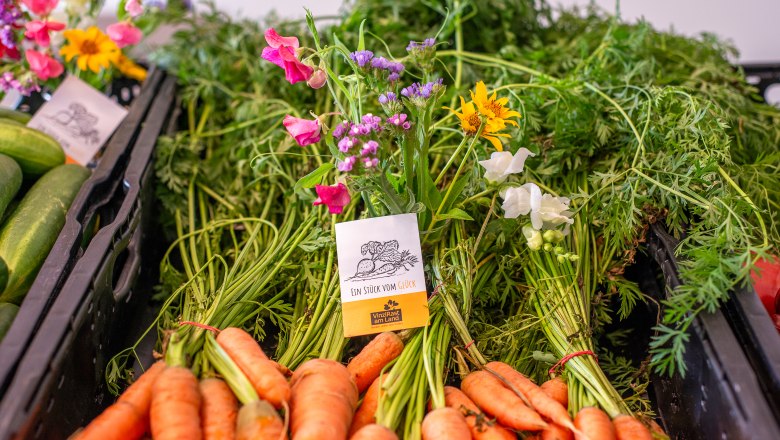 Karottenbund, © Thomas Vostandlechner Karottenbund, © Thomas Vostandlechner