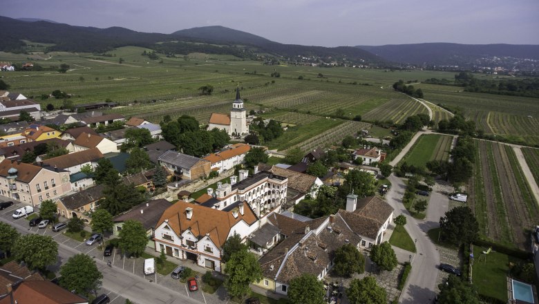 Weinort Sooss, © Studeny Weinort Sooss, © Studeny