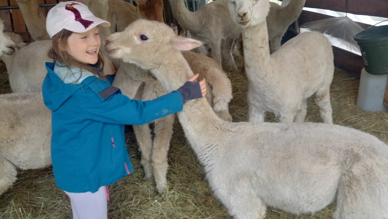 Alpkahof Klosterneuburg, © Alpakahof Klosterneuburg Alpkahof Klosterneuburg, © Alpakahof Klosterneuburg