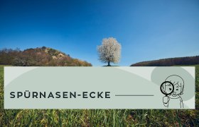 Spürnasenrunden Alland, © Wienerwald Tourismus GmbH / Andreas Hofer Spürnasenrunden Alland, © Wienerwald Tourismus GmbH / Andreas Hofer