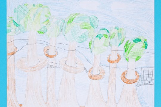 Volksschule Purkersdorf 4B - 4. Zeichnung, © Volksschule Purkersdorf Volksschule Purkersdorf 4B - 4. Zeichnung, © Volksschule Purkersdorf