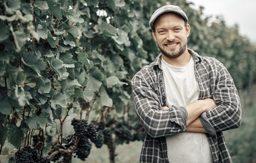 Daniel Plos Daniel Plos