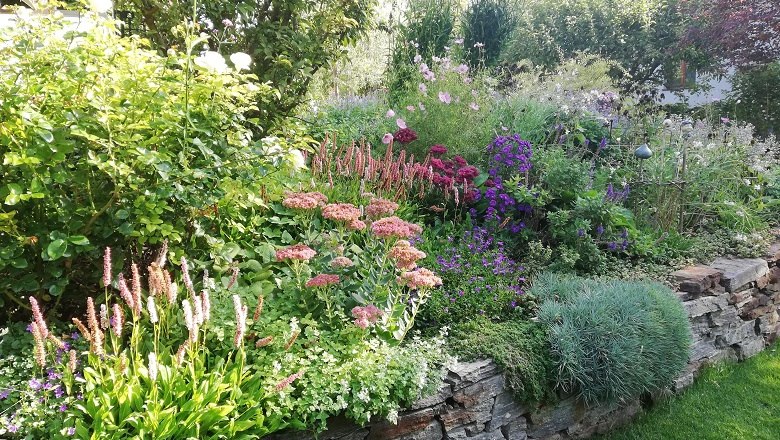 Herbstliche Blütenpracht, © Christine Hammerschick Ein üppiger Garten mit verschiedenen blühenden Pflanzen und Sträuchern auf einer Steinterrasse.