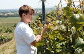 Familie Schlager, © Wienerwald Tourismus/Kerstin Semmelmeyer Familie Schlager, © Wienerwald Tourismus/Kerstin Semmelmeyer