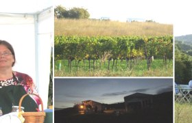 Unser Stand auf der Genussmeile 2014, © K.Berger2014 Menschen an einem Stand auf der Genussmeile 2014, Weinreben und Landschaft im Hintergrund.