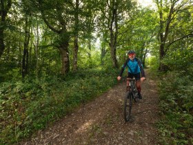 MTB Wienerwald, © Wienerwald Tourismus GmbH / Christoph Kerschbaum