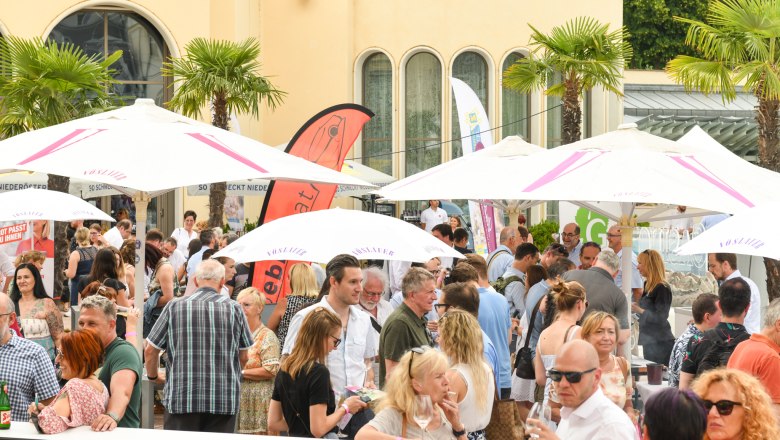 Wein im Park 2022, © Wellenhofer