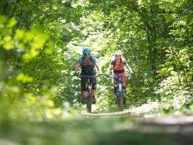 MTB im Wienerwald, &copy; Nieder&ouml;sterreich Werbung / Markus Fr&uuml;hmann