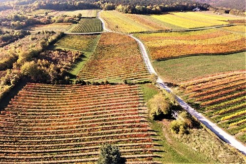 Wiege Aumann, © diezweiMarketing