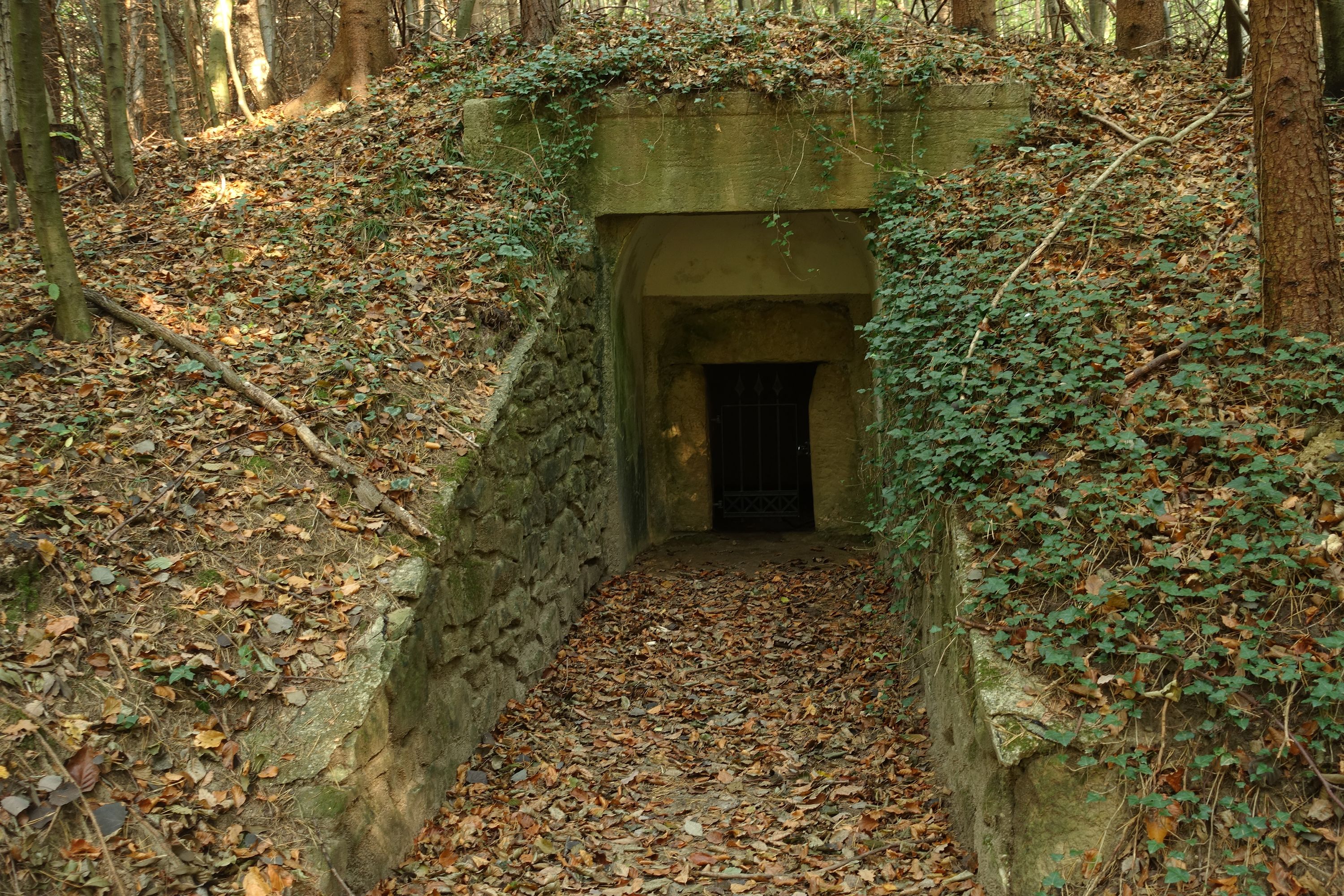 Versteckt im dichten Grün des Wienerwalds wartet ein vergessenes Hügelgrab aus der Römerzeit, stille Zeugin alter Zeiten. Überwuchert von wildem Grün, lässt sich der Weg zu diesem historischen Ort nur über einen markierten Pfad erahnen.