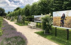 Festival Impression 2020