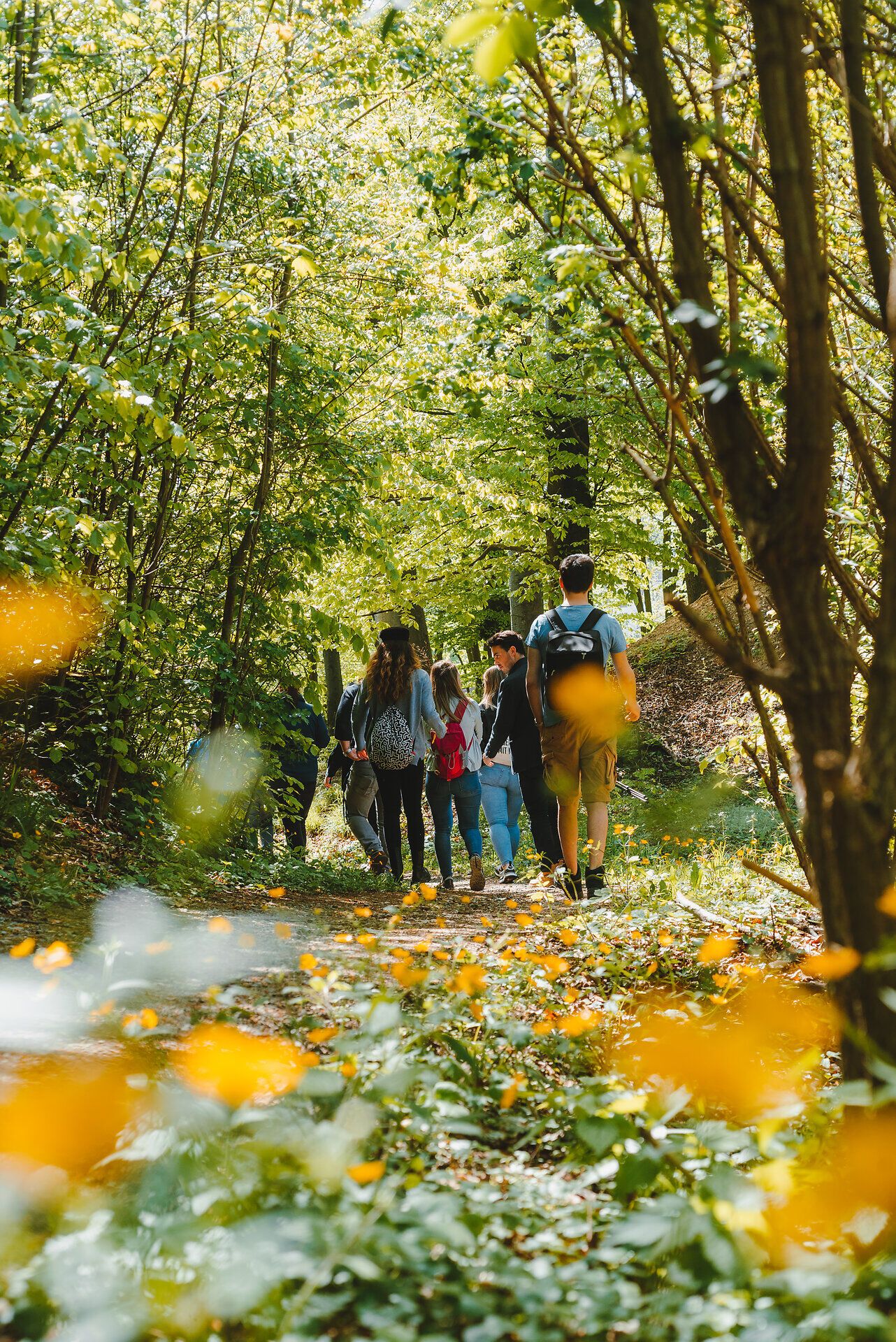 Ein malerischer Wanderweg schlängelt sich durch das üppige Grün des Waldes, während die warmen Sonnenstrahlen durch das Blätterdach tanzen. Die frische Luft ist erfüllt von den sanften Klängen der Natur, und die bunten Wildblumen am Wegesrand verleihen der Szenerie einen Hauch von Farbe und Lebendigkeit.