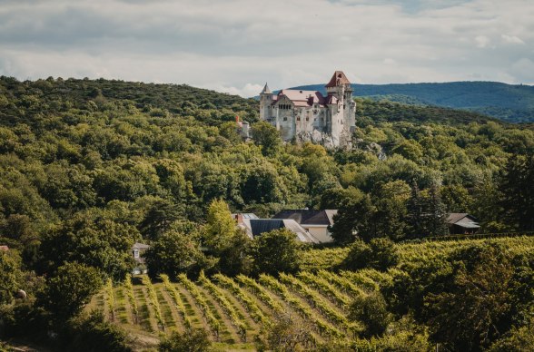 Burg Liechtenstein, © Weinland Thermenregion/Adrian Almasan