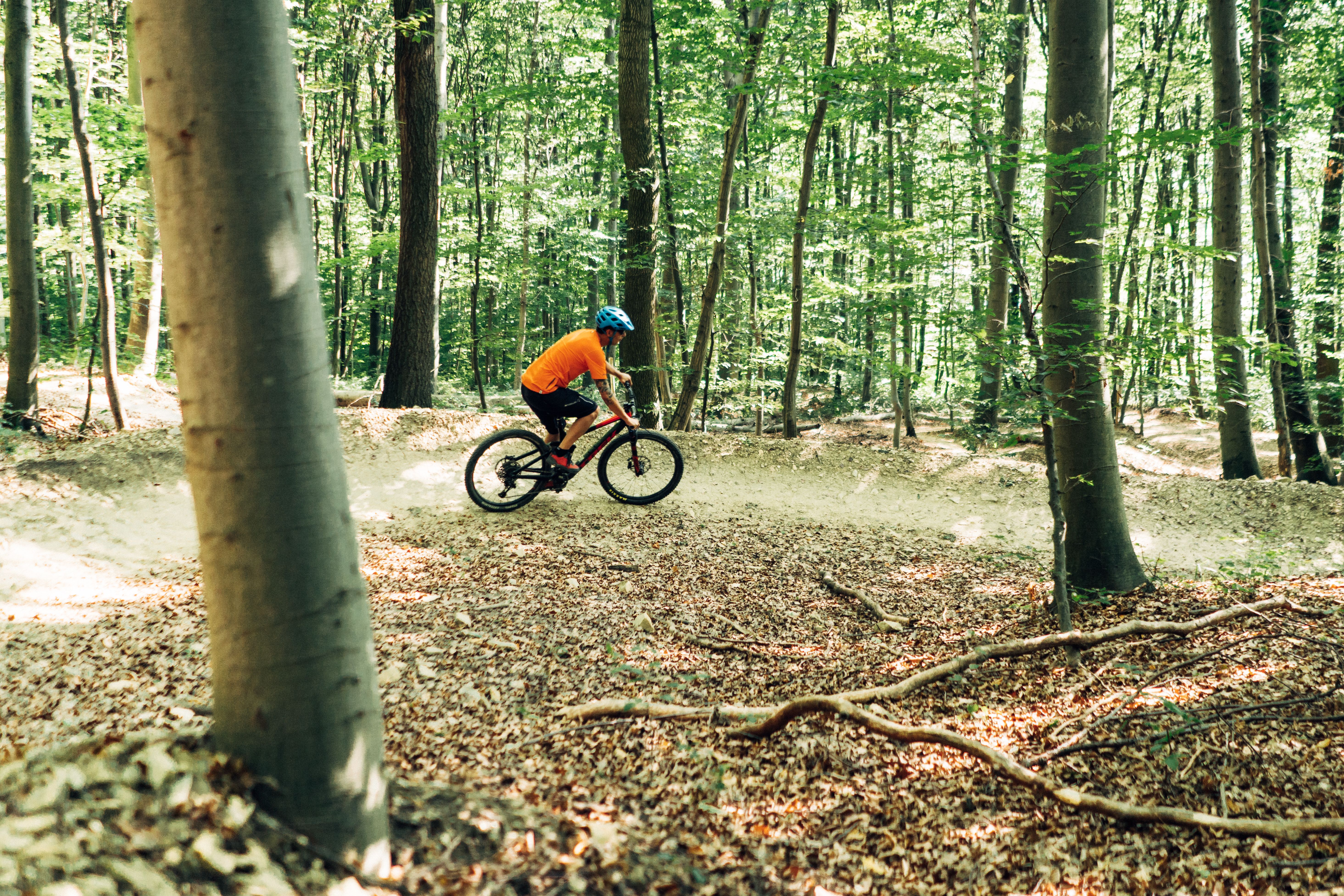 Ein begeisterter Mountainbiker gleitet durch die sanften Hügel des Wienerwaldes, umgeben von üppigem Grün und dem beruhigenden Rascheln der Blätter. Die frische Luft und die malerische Landschaft laden dazu ein, die Natur in vollen Zügen zu genießen und neue Abenteuer zu erleben.