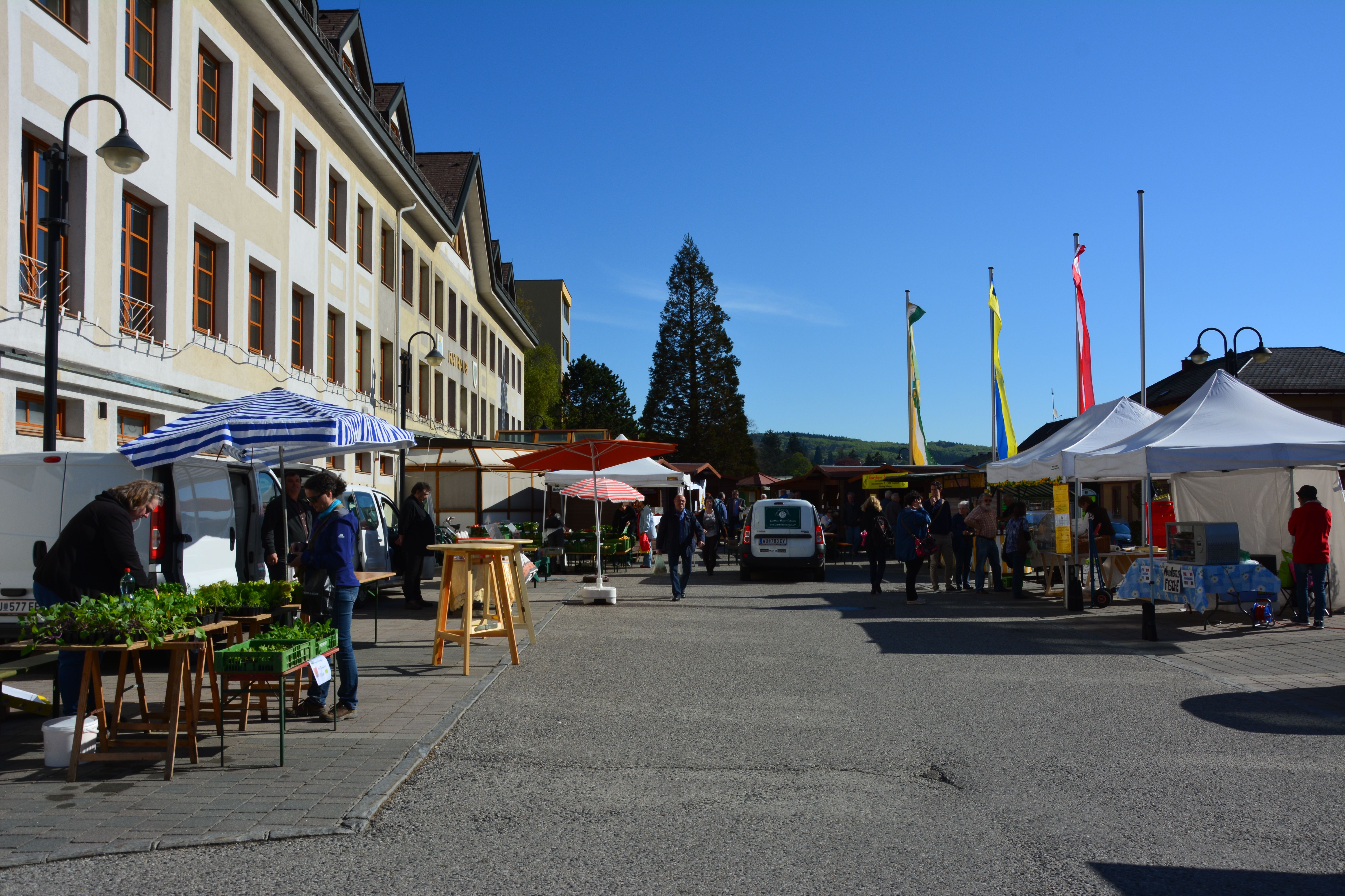 Ein Bio-Bauernmarkt auf einem Platz mit Ständen, Menschen und einem großen Gebäude im Hintergrund.