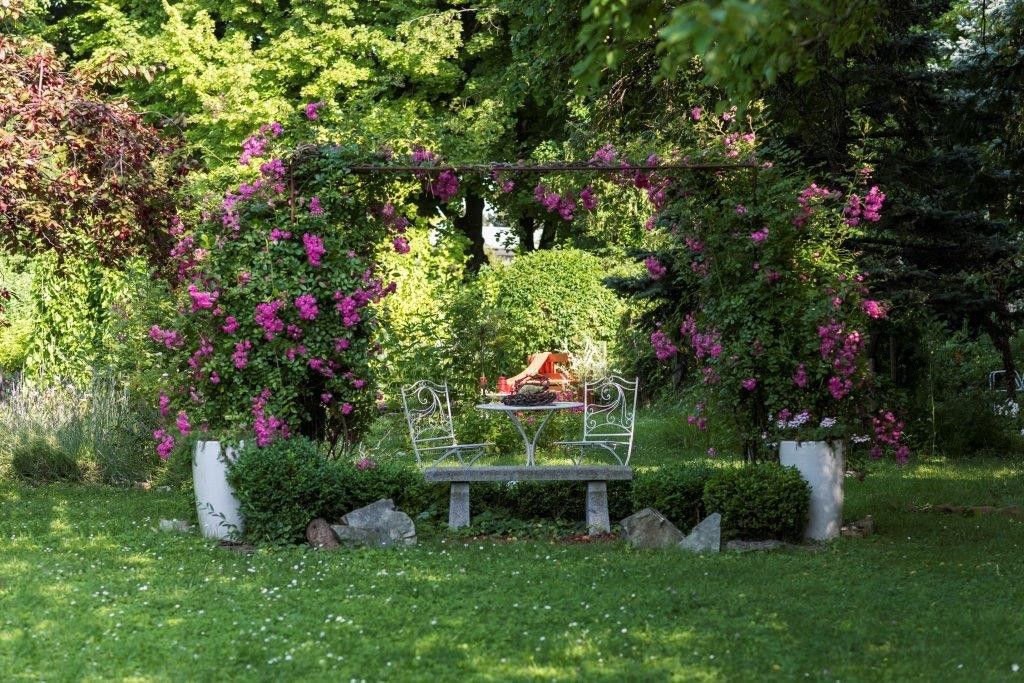 Rosenbauchs Garten