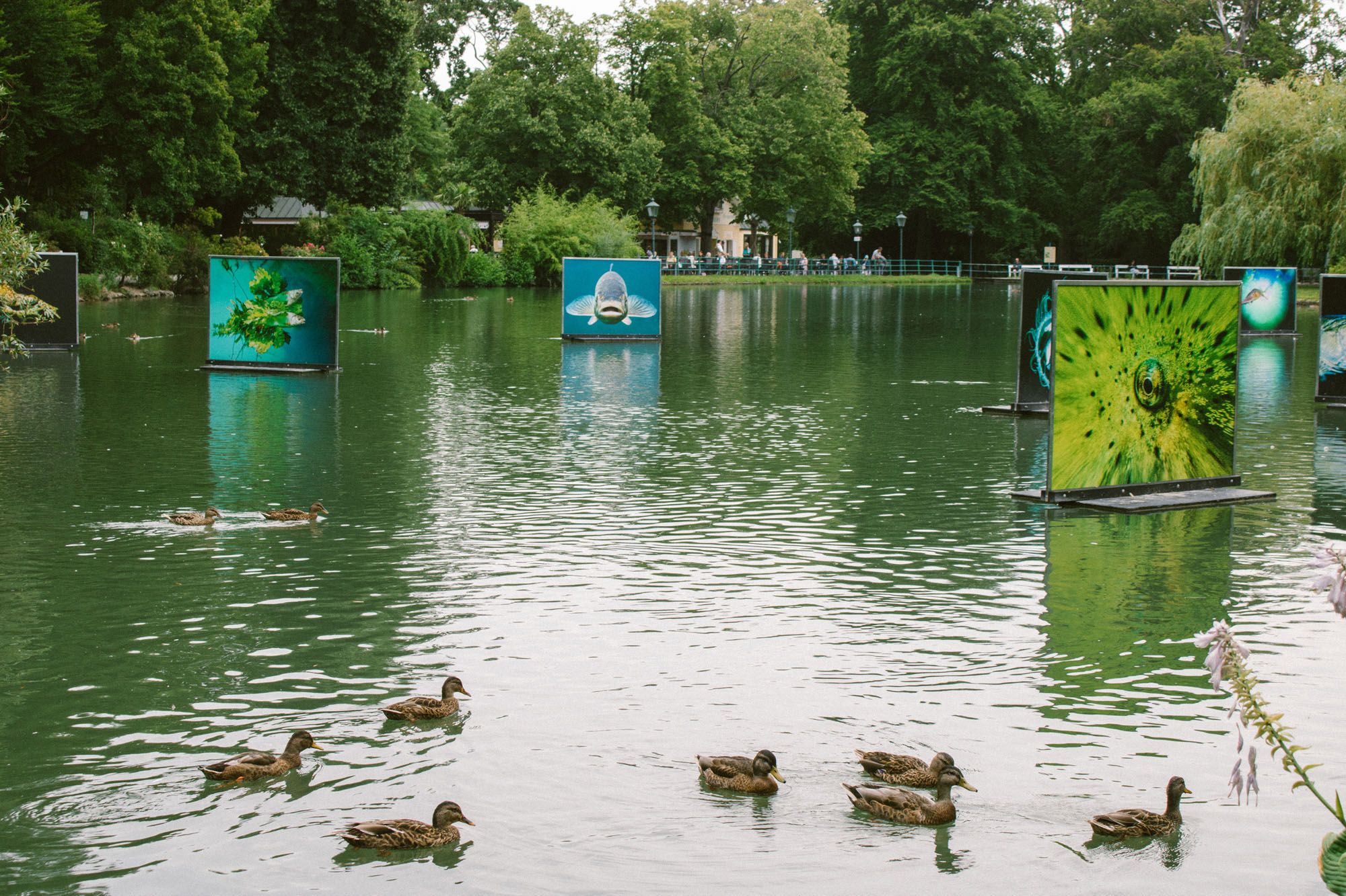 Festival Impression 2025