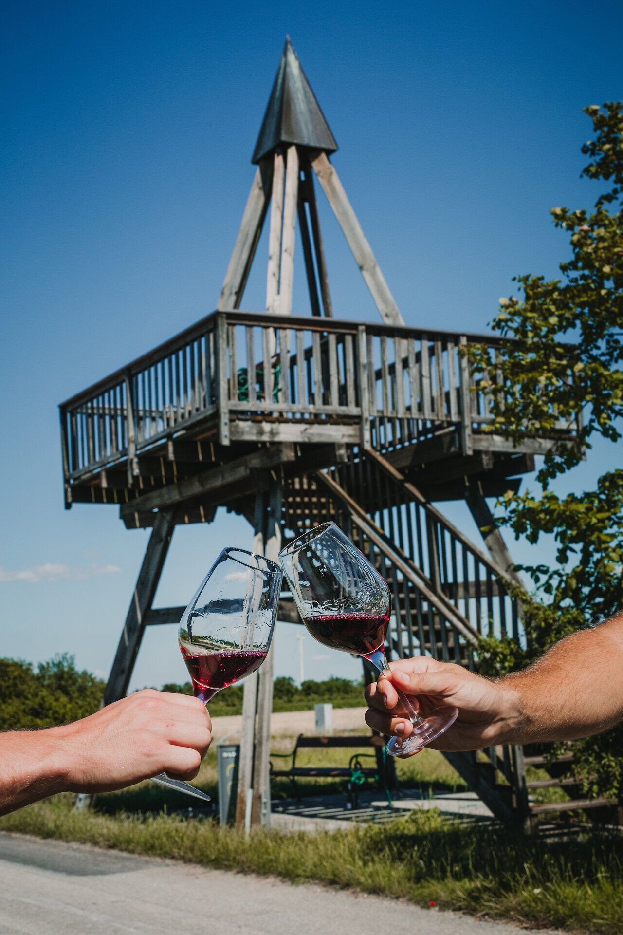 In der malerischen Landschaft der Thermenregion Wienerwald stoßen zwei Freunde mit Gläsern voll köstlichem Wein an. Der Blick auf den beeindruckenden Aussichtsturm im Hintergrund verspricht unvergessliche Erlebnisse und atemberaubende Ausblicke. Hier wird der Genuss inmitten der Natur zelebriert.