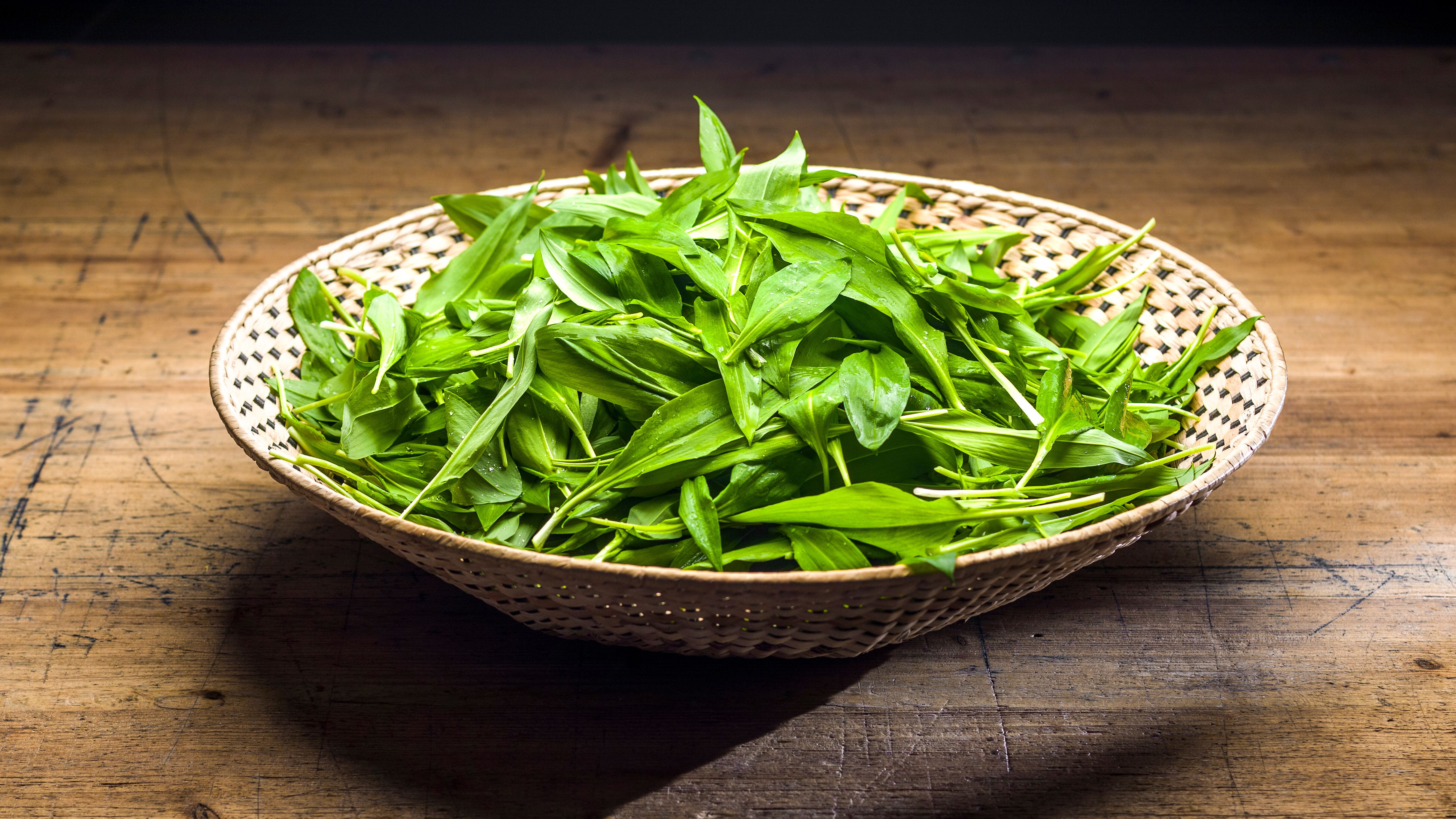 Frische Bärlauchblätter liegen in einem geflochtenen Korb und versprechen ein intensives Geschmackserlebnis. Die grüne Pracht weckt die Vorfreude auf kulinarische Genüsse in der Natur, wo die Aromen des Frühlings die Sinne verzaubern.