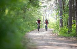 Zwei Mountainbiker unterwegs im Wienerwald