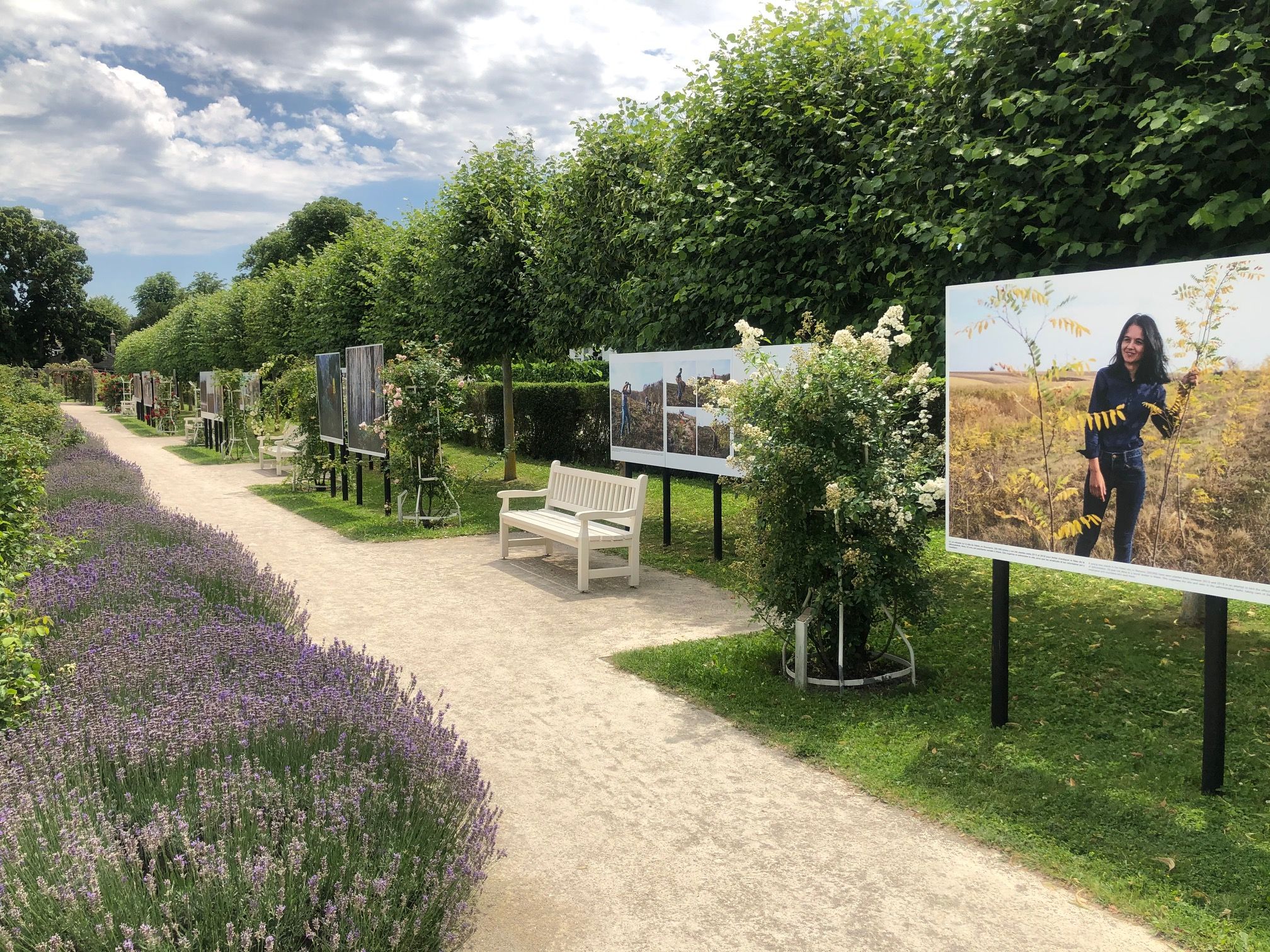 Festival Impression 2020
