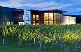 Weingut Leo Aumann bei Dämmerung mit beleuchtetem Gebäude und Weinreben im Vordergrund.