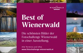 WanderausstellungFotochallenge