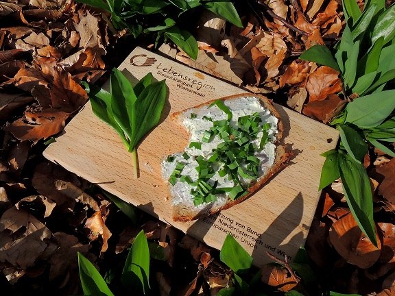 Vienna Woods Experience, &copy; baerlauch_cr_patricia-lechner_verkleinert