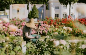 Rosarium, © 2025psb/ckollerics