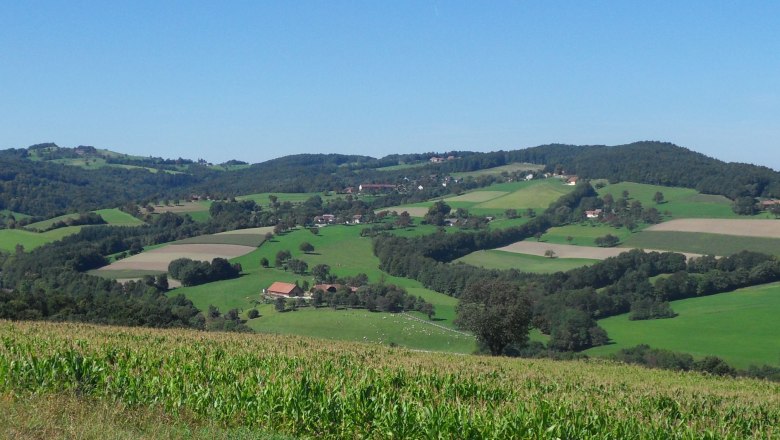Landschaft mit grünen Feldern und Hügeln unter blauem Himmel.