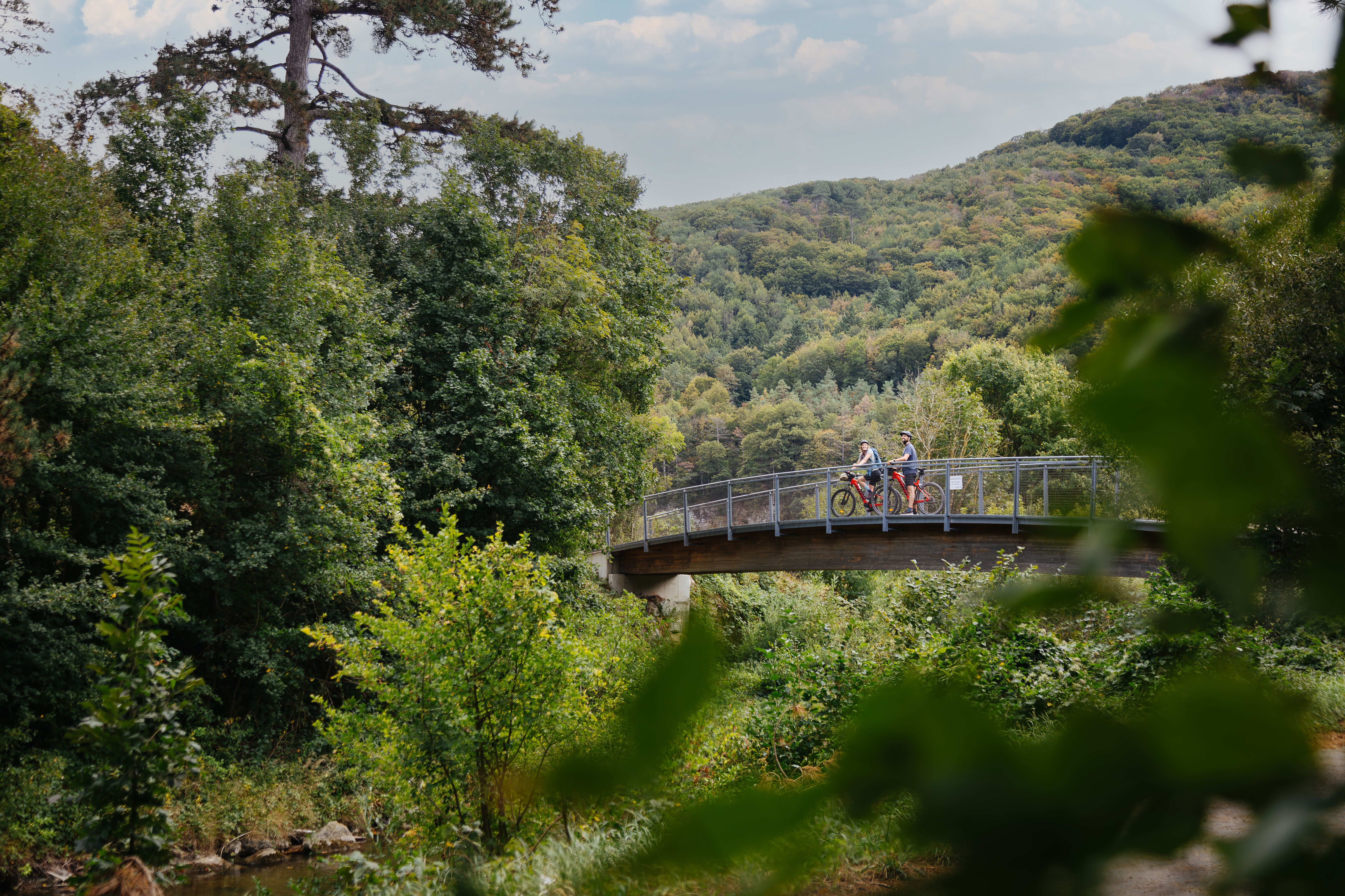 Inmitten der üppigen Natur des Wienerwaldes radeln zwei Abenteurer über eine malerische Brücke, umgeben von dichten Wäldern und sanften Hügeln. Die frische Luft und das Zwitschern der Vögel schaffen eine einladende Atmosphäre, die zum Entdecken einlädt.