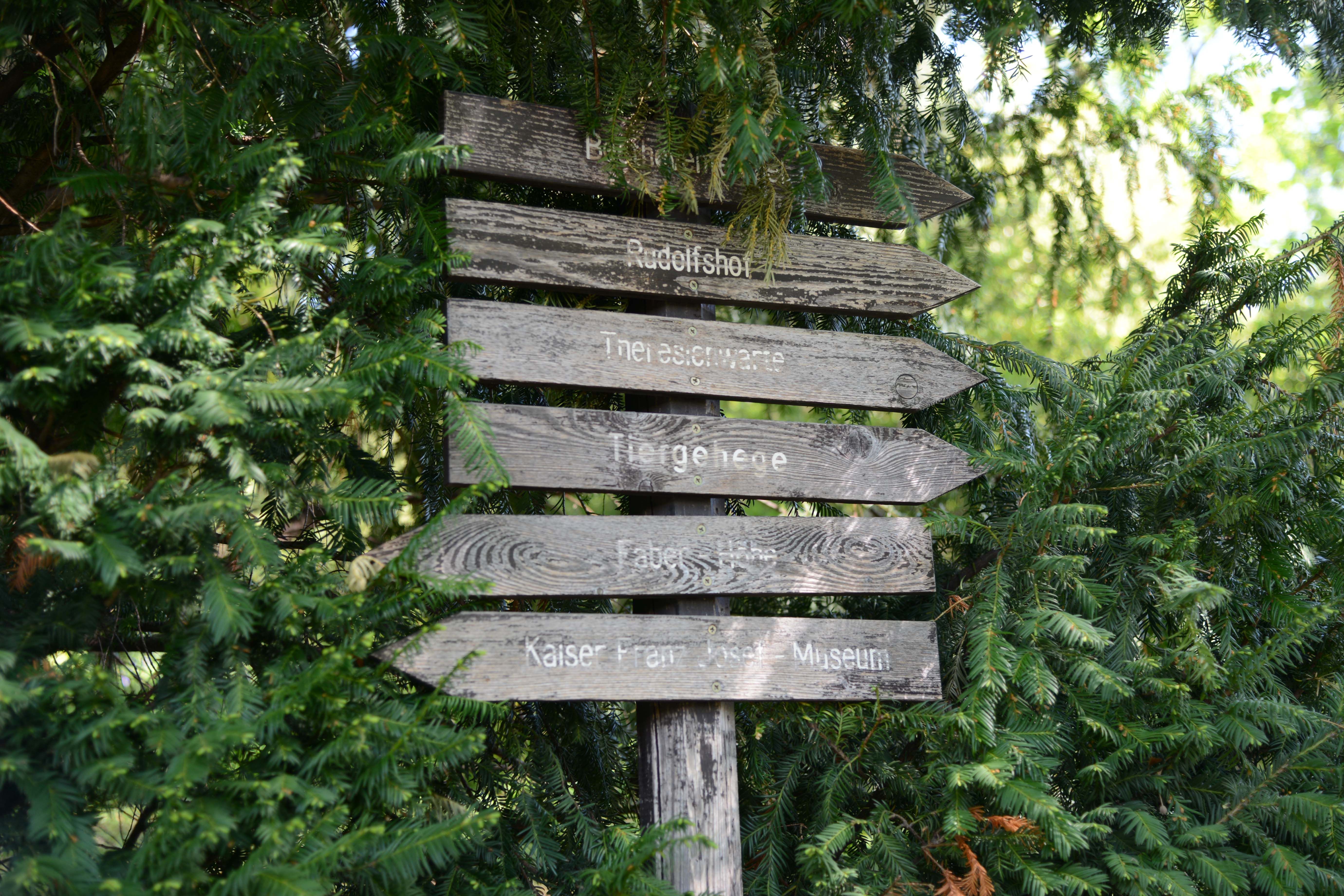 Wandern in Baden 2