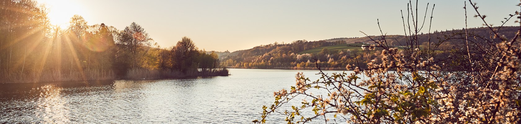 Wienerwaldsee, © Andreas Hofer