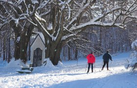 Zwei Skilangläufer auf einer verschneiten Loipe neben einer Kapelle und großen Bäumen.
