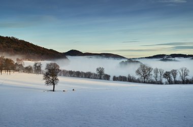 Winterlicher Wienerwald, © Andreas Hofer