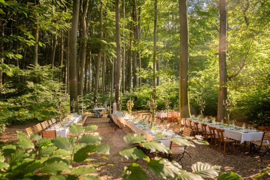  Der Wald - eine ganz besondere Kulisse ..., © Wienerwald Tourismus/Christian Dusek