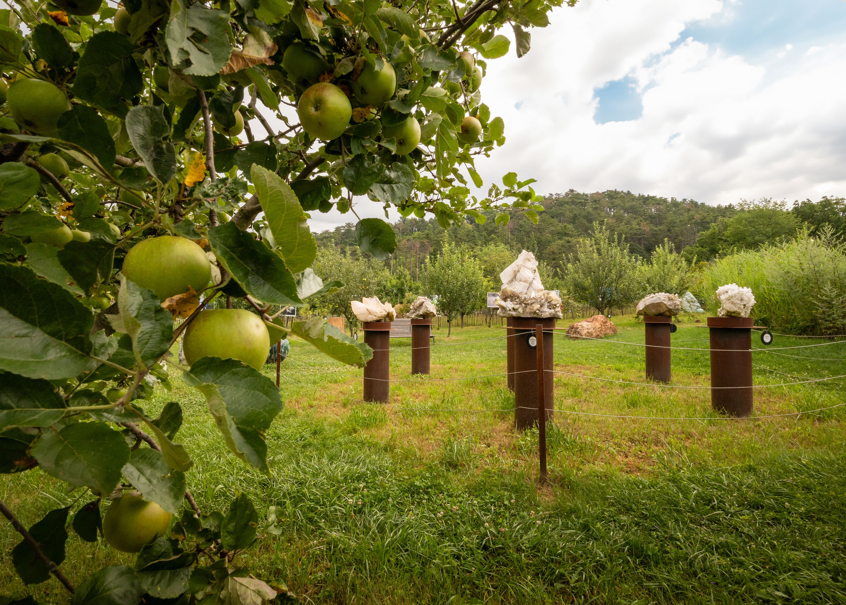 Apfelbaum im Vordergrund, Skulpturen auf Sockeln im Hintergrund, grüne Wiese und bewölkter Himmel.
