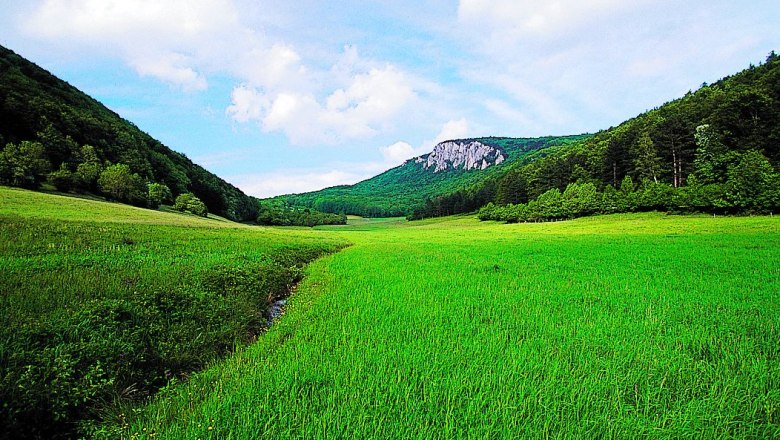 Grüne Wiese mit Hügeln und bewaldeten Bergen im Hintergrund unter blauem Himmel.
