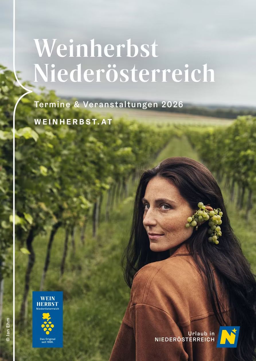 Weinherbst Niederösterreich