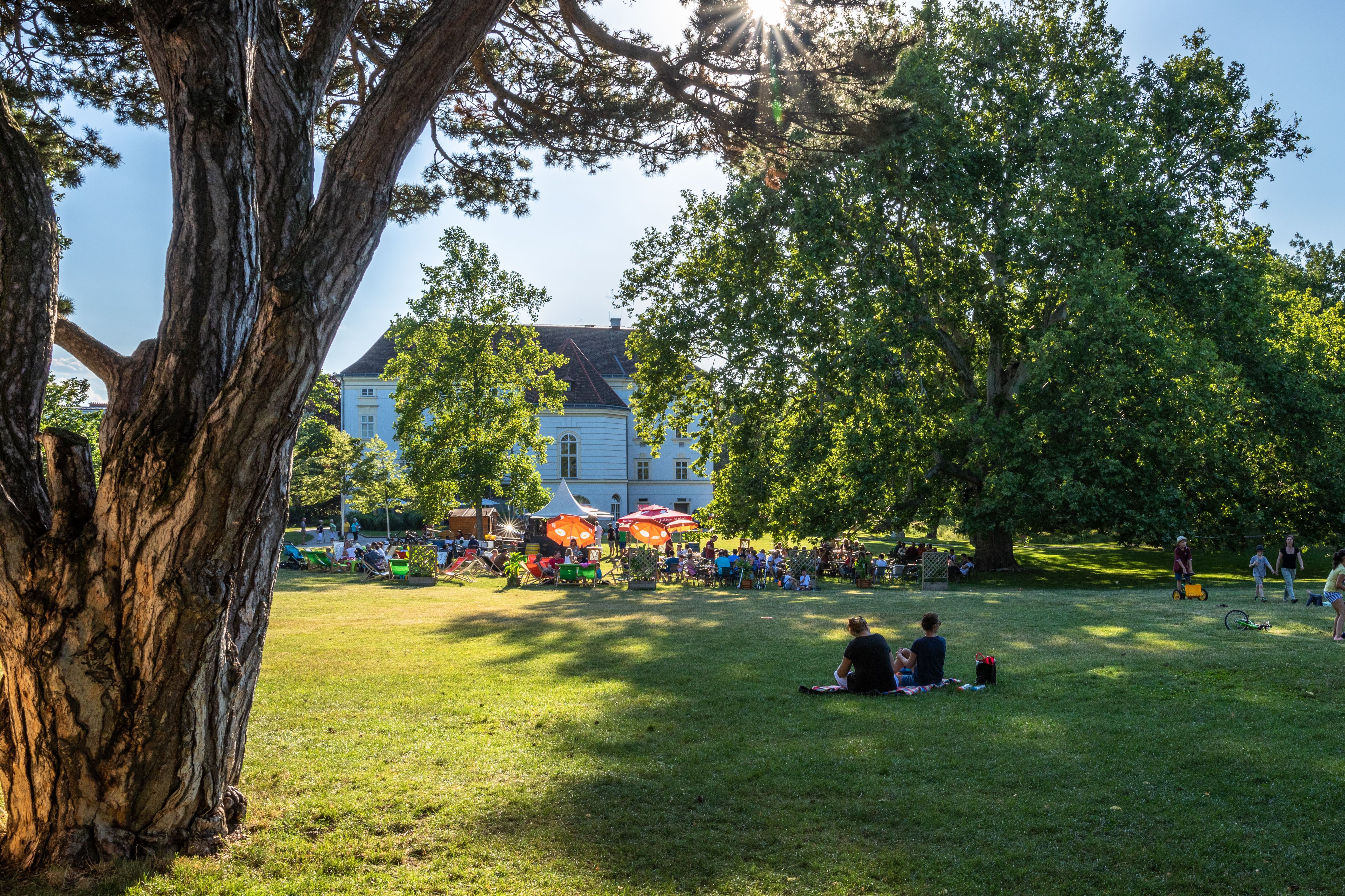 Schlosspark Bad Vöslau, Platane und Lounge
