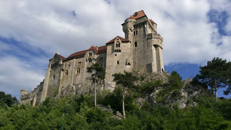 Burg Liechtenstein auf einem Hügel mit Bäumen und blauem Himmel.