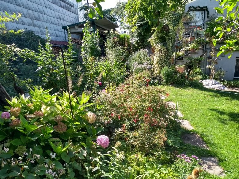 Ein üppiger Garten mit verschiedenen Pflanzen und Blumen, umgeben von einem Haus mit einer Treppe.