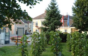 Main square in Pfaffst&auml;tten with town hall, vines and flags.