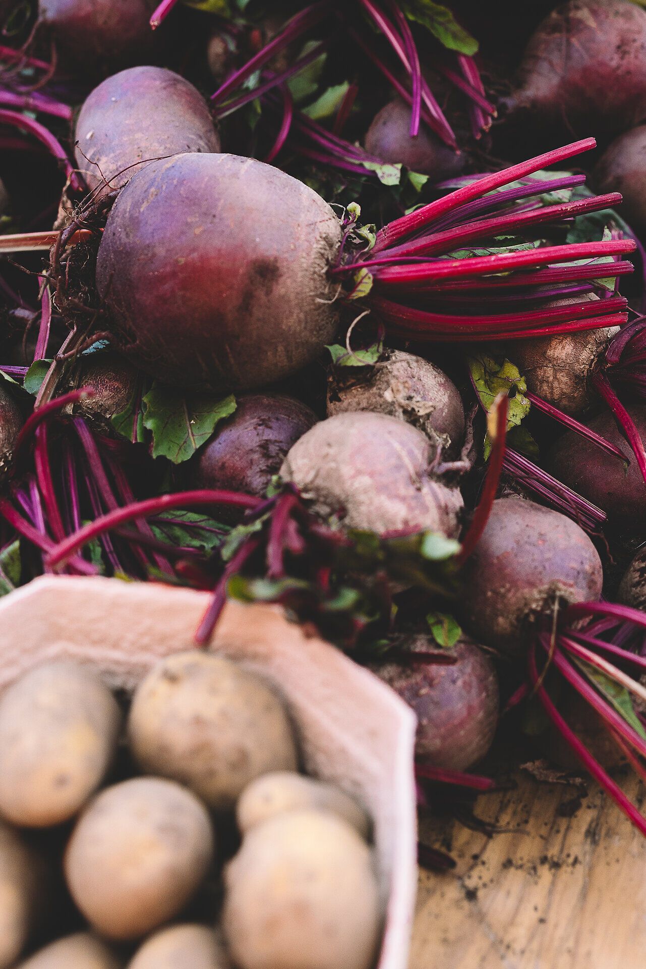 Frische rote Rüben und Kartoffeln liegen verlockend auf dem Wochenmarkt, umgeben von der bunten Vielfalt der regionalen Erzeugnisse. Der Duft von frischem Gemüse und die lebhafte Atmosphäre laden dazu ein, die kulinarischen Schätze der Region zu entdecken und zu genießen.